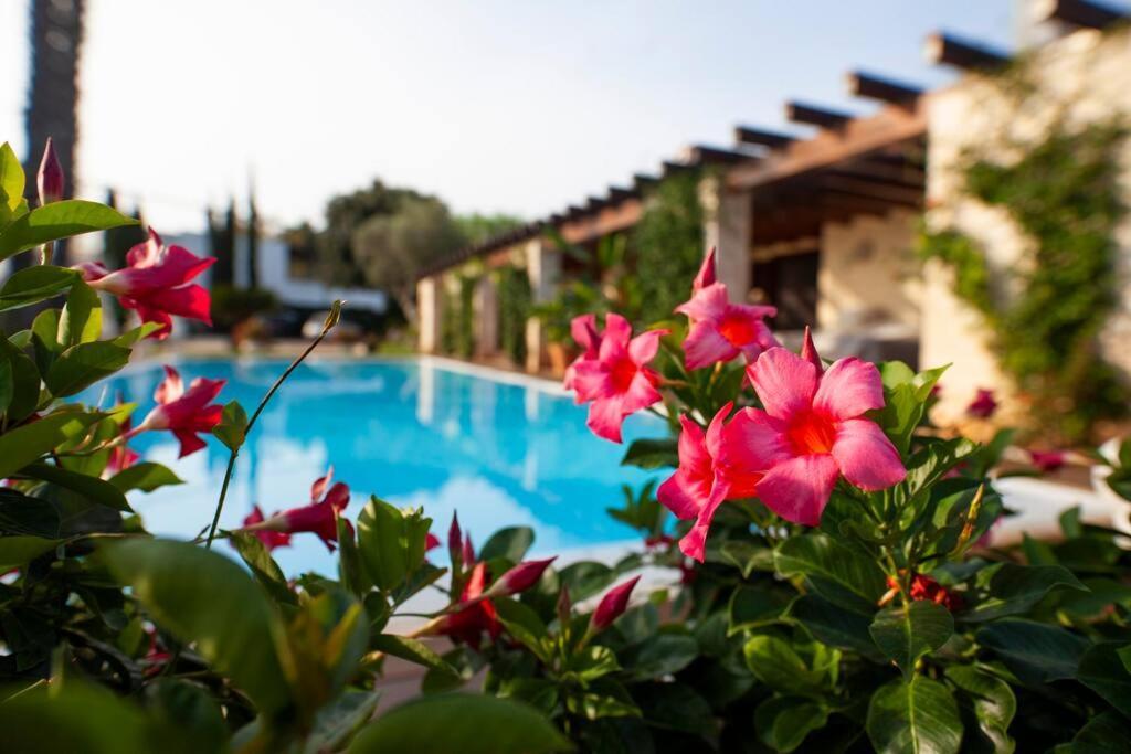 Spaziosa Villa Con Piscina E Giardino, Polignano A Mare Exteriör bild